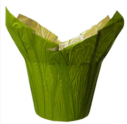 Las macetas naturales verdes del papel de Kraft cubren/las pequeñas macetas decorativas interiores