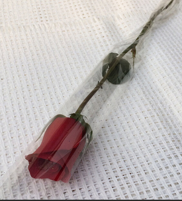 Solas mangas de Rose de la flor transparente biodegradable para la tienda de flores/la tienda al por menor